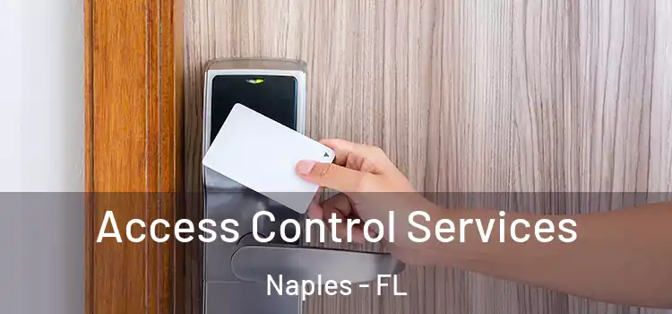  Access Control Services Naples - FL
