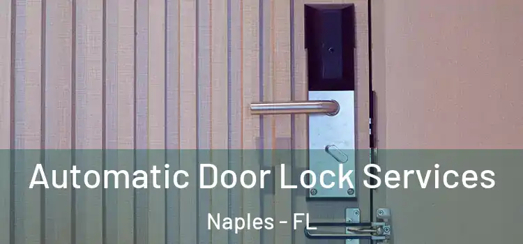 Automatic Door Lock Services Naples - FL