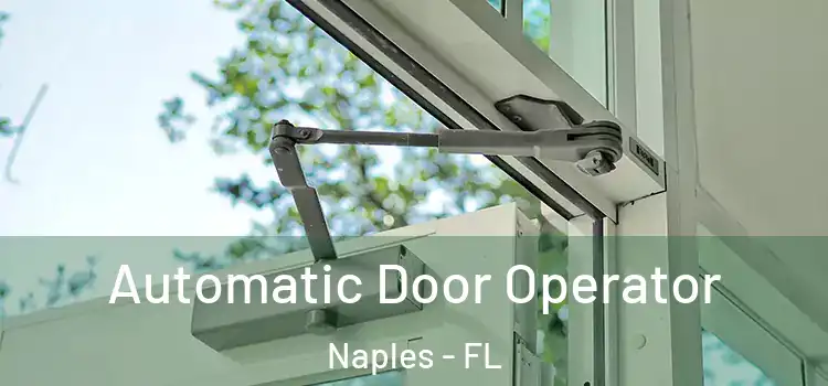  Automatic Door Operator Naples - FL