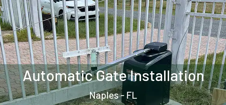  Automatic Gate Installation Naples - FL