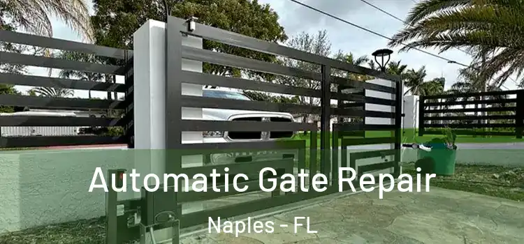  Automatic Gate Repair Naples - FL