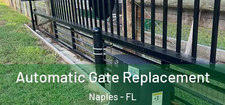  Automatic Gate Replacement Naples - FL