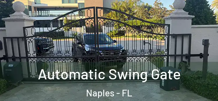  Automatic Swing Gate Naples - FL