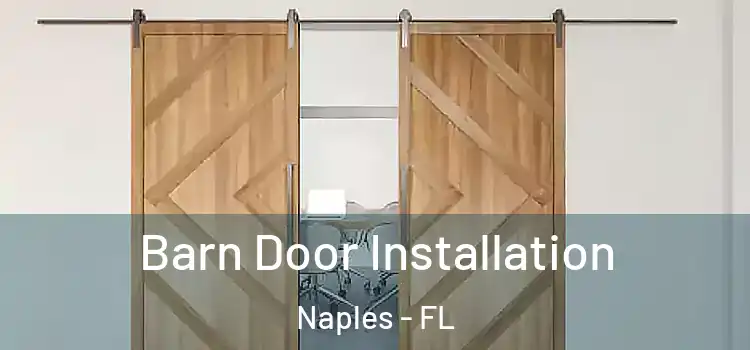  Barn Door Installation Naples - FL