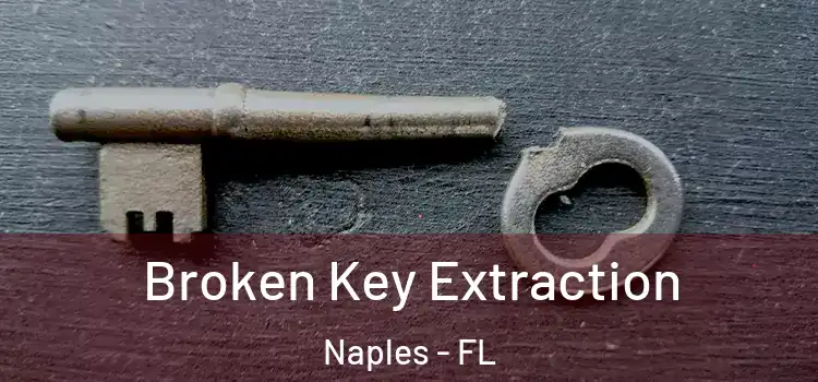 Broken Key Extraction Naples - FL