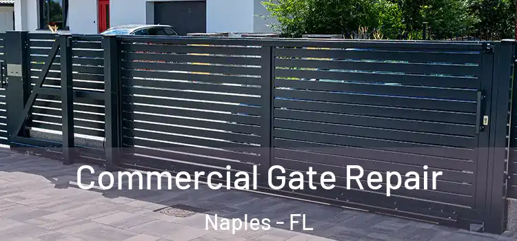  Commercial Gate Repair Naples - FL