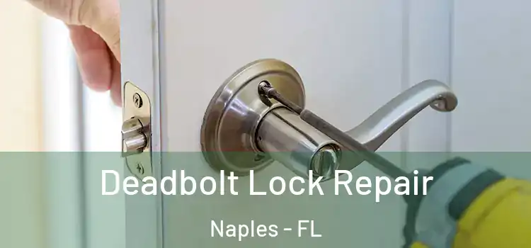  Deadbolt Lock Repair Naples - FL