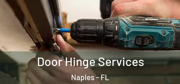  Door Hinge Services Naples - FL