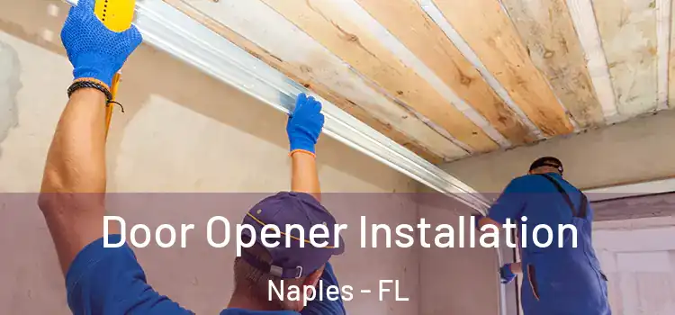  Door Opener Installation Naples - FL
