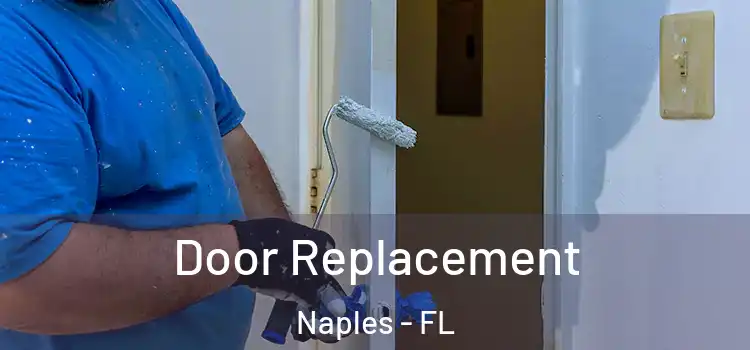  Door Replacement Naples - FL