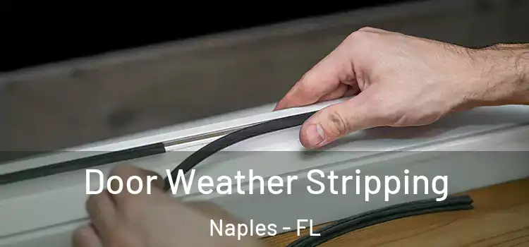  Door Weather Stripping Naples - FL