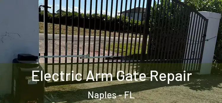  Electric Arm Gate Repair Naples - FL