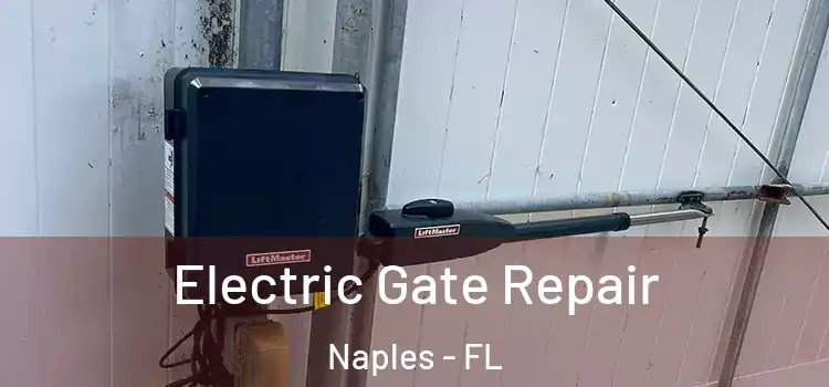  Electric Gate Repair Naples - FL