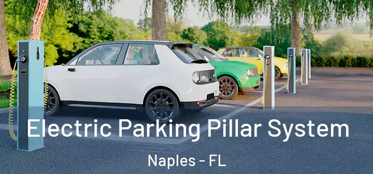 Electric Parking Pillar System Naples - FL