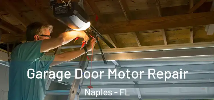  Garage Door Motor Repair Naples - FL