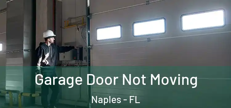 Garage Door Not Moving Naples - FL