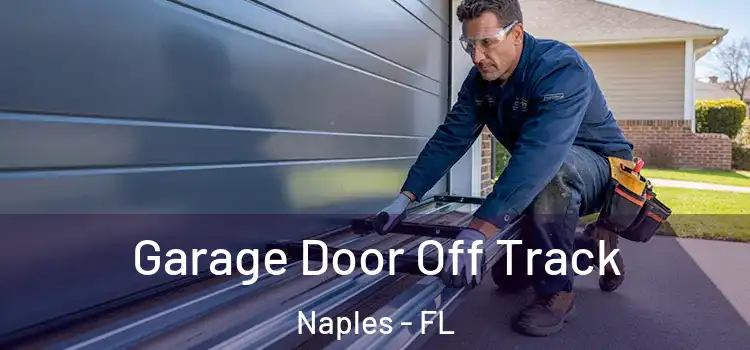  Garage Door Off Track Naples - FL