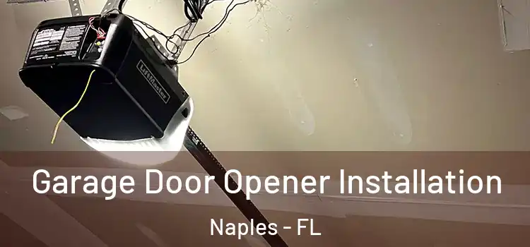  Garage Door Opener Installation Naples - FL