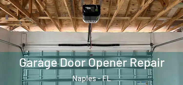  Garage Door Opener Repair Naples - FL