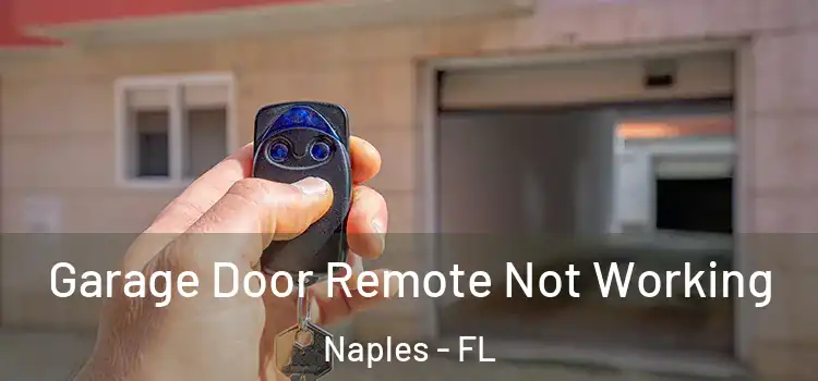  Garage Door Remote Not Working Naples - FL
