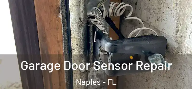  Garage Door Sensor Repair Naples - FL