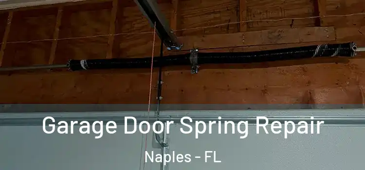  Garage Door Spring Repair Naples - FL