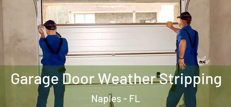  Garage Door Weather Stripping Naples - FL
