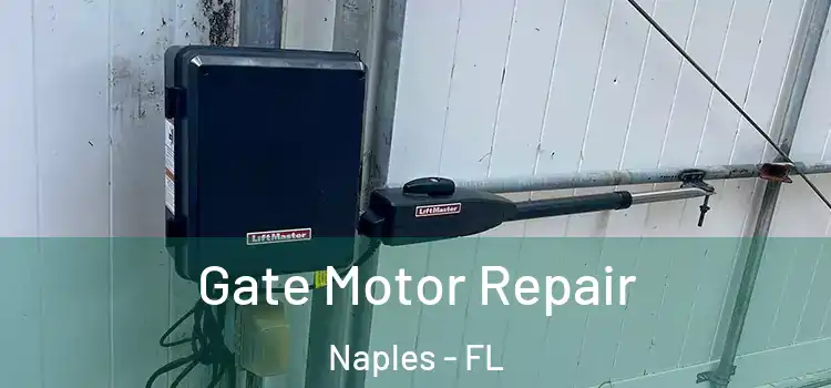  Gate Motor Repair Naples - FL