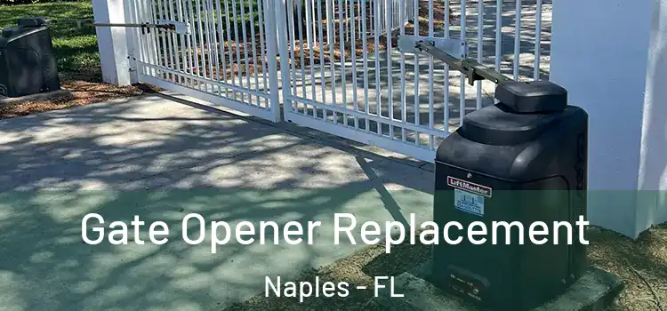  Gate Opener Replacement Naples - FL