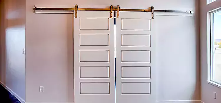 Glass Barn Door with Installation Hardware Kit Naples