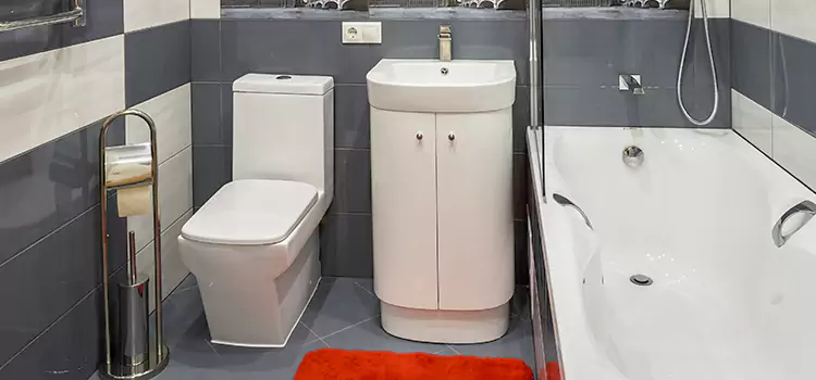 Hansgrohe Shaving Mirror Naples