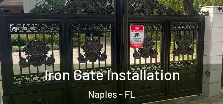  Iron Gate Installation Naples - FL