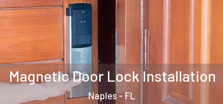  Magnetic Door Lock Installation Naples - FL
