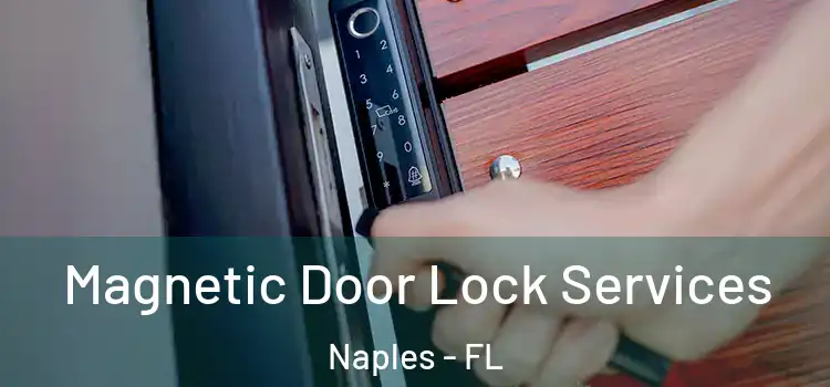  Magnetic Door Lock Services Naples - FL