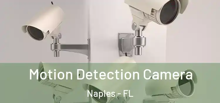  Motion Detection Camera Naples - FL