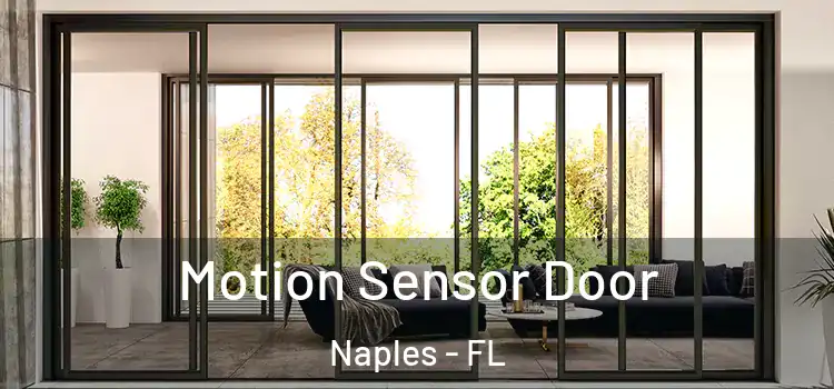  Motion Sensor Door Naples - FL