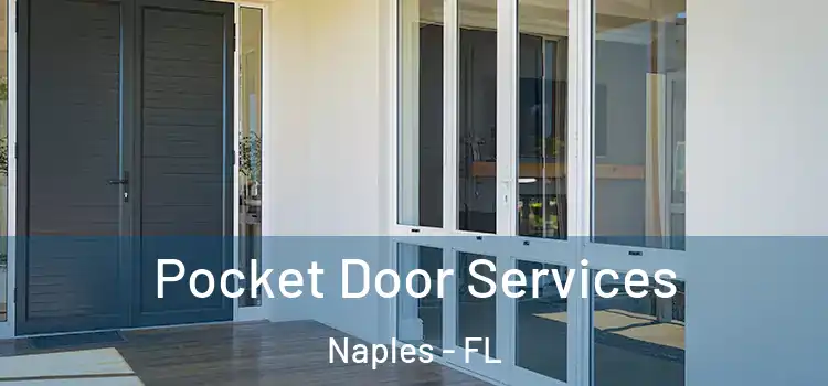  Pocket Door Services Naples - FL