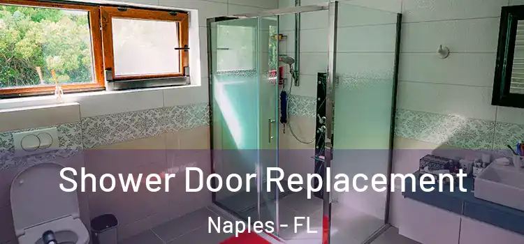  Shower Door Replacement Naples - FL