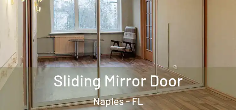  Sliding Mirror Door Naples - FL