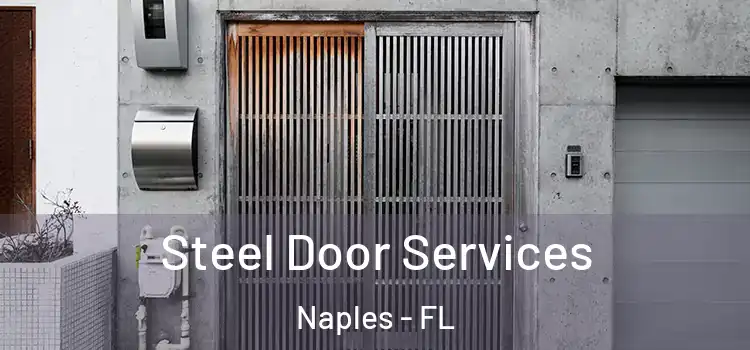  Steel Door Services Naples - FL