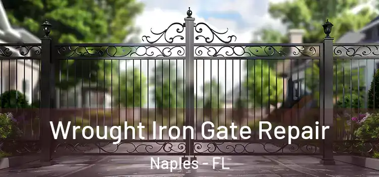  Wrought Iron Gate Repair Naples - FL